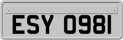 ESY0981