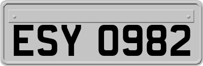 ESY0982