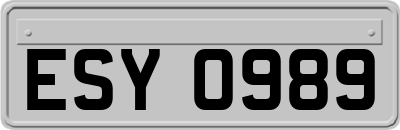 ESY0989