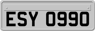 ESY0990