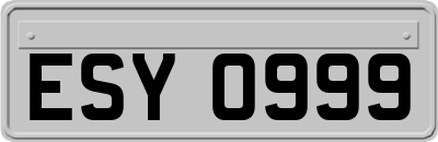 ESY0999