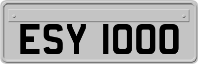 ESY1000