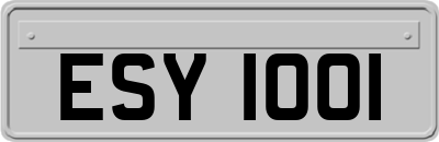 ESY1001
