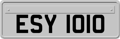 ESY1010