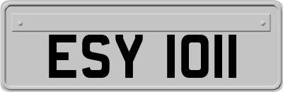 ESY1011