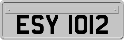 ESY1012