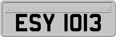 ESY1013