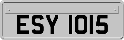 ESY1015