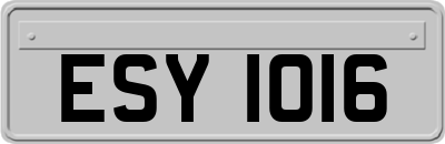 ESY1016