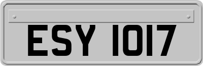 ESY1017
