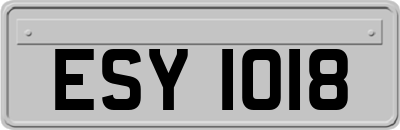 ESY1018