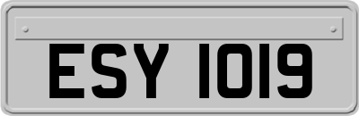 ESY1019