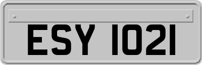 ESY1021