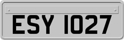 ESY1027