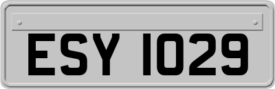 ESY1029