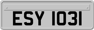 ESY1031