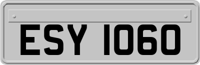 ESY1060