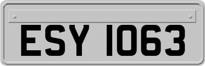 ESY1063