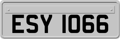 ESY1066