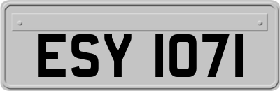 ESY1071