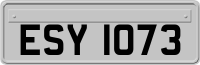 ESY1073