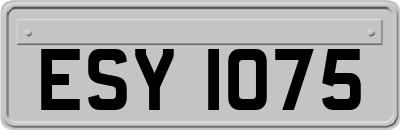 ESY1075
