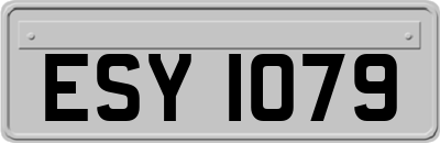 ESY1079