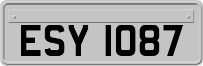 ESY1087