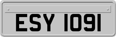 ESY1091