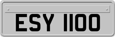 ESY1100