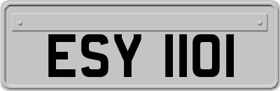ESY1101
