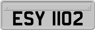 ESY1102