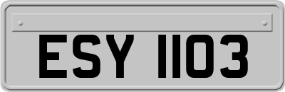 ESY1103