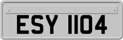 ESY1104