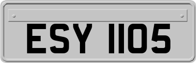 ESY1105