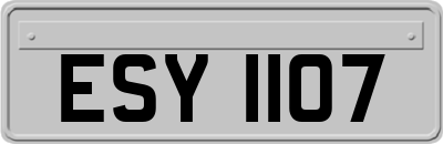 ESY1107