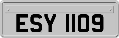 ESY1109