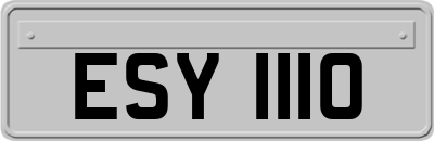 ESY1110