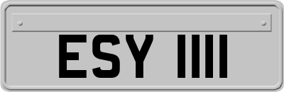 ESY1111