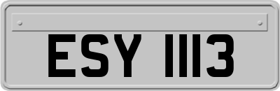 ESY1113