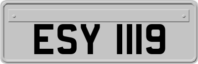 ESY1119