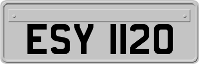 ESY1120