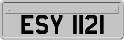ESY1121