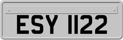ESY1122