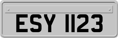 ESY1123