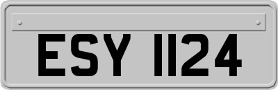 ESY1124