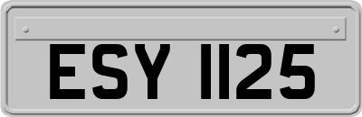 ESY1125