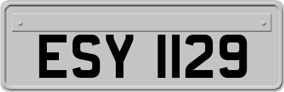 ESY1129