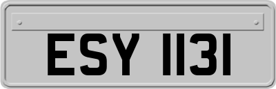 ESY1131