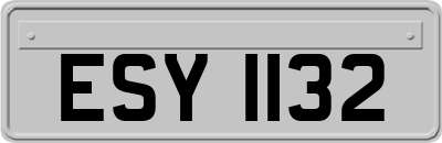 ESY1132